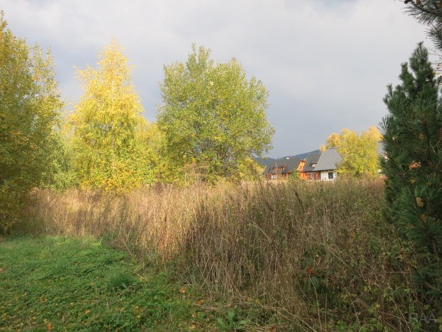 foto 7 [7/15]