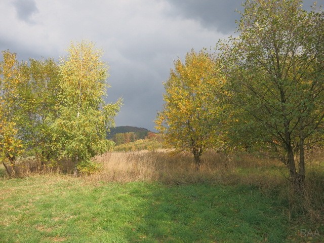 foto 9 [9/15]