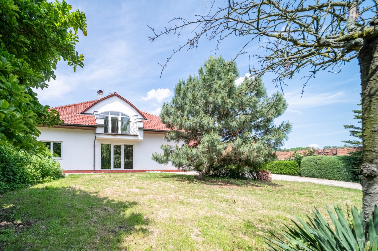 čelní pohled [1/89]